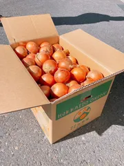 北海道産玉ねぎ【北もみじ2000】M～2Lサイズ混合15kg | 野菜