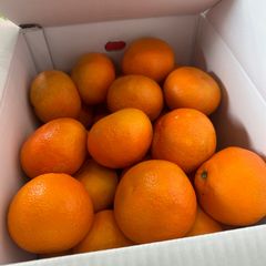 爆買！伊予柑　2箱