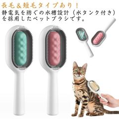 Item thumbnail for item 8dec6cdb-269d-4a12-885e-a73f77c85034