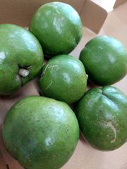 残り1箱です！希少フルーツ　沖縄産ホワイトサポテ