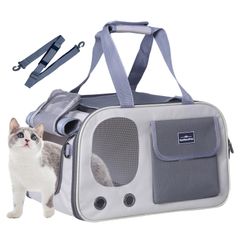 Item thumbnail for item 2f450f76-6df0-4802-af78-9f86a497e839