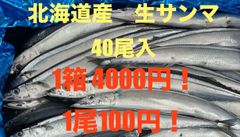 北海道産　生さんま　1箱40尾入  4000円！ 1尾100円！