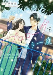 ベリーズ文庫　小説　全105冊セット 2025年最新】ベリーズ文庫の人気アイテム - メルカリ