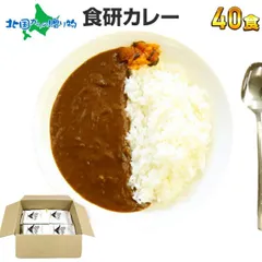 【フォロー割】日本食研 カレー 200g 40食 食研カレー レトルト食品 レトルトカレー 業務用パッケージ 送料無料 ビーフカレー 中辛 レトルト 食品 夏ギフト 食べ物 まとめ買い 敬老の日 プレゼント 種類2：日本食研 カレー 200g 40食のサムネイル