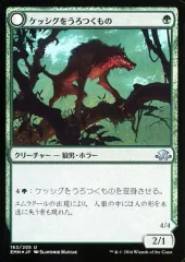 【中古】マジックザギャザリング 163/205[U]：【FOIL】ケッシグをうろつくもの/しなやかな捕食者/Kessig Prowler/Sinuous Predator