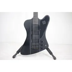 2025年最新】epiphone thunderbirdの人気アイテム - メルカリ