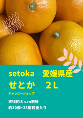 【送料無料】　せとか　愛媛産　【ギフト】　５キロ　柑橘　２L　果物　フルーツ　みかん