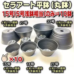 セラアート平鉢(陶器風丸鉢)黒：15号(5号浅鉢相当)のみ×10鉢セット※多肉・塊根植物コーデックス・アガベ・サボテン＠フラワーショップ江口