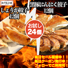 お試しにピッタリ✨しょうが＆黒豚にんにく餃子ミニセット 24個入り 各種12個ずつ 送料無料 個包装 冷凍のまま焼ける 簡単調理 冷凍庫にあれば便利です 一人暮らし おためし