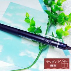 パイロット PILOT 名入れ可 フリクションボール ノック 0.7ｍｍ 水性 消えるボールペン LFBK-23F 誕生日 プレゼント ギフト 記念品 就職祝い 父の日 男性 女性