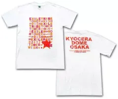 【中古】Tシャツ(男性アイドル) EXILE 会場限定ロゴTシャツ(大阪1) ホワイト Mサイズ 「EXILE TRIBE LIVE TOUR 2012 ～TOWER OF WISH～」 5月京セラドーム大阪限定