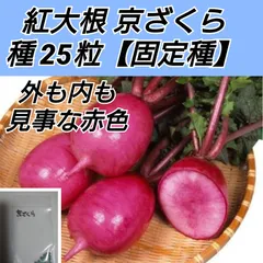 2024年最新】京 漬物 野菜の人気アイテム - メルカリ