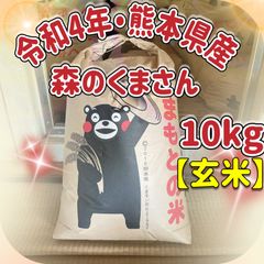 森のくまさん　玄米10kg 令和4年熊本県産