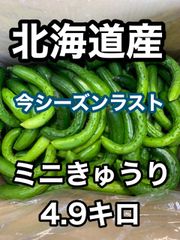 さいか農園 - メルカリShops 