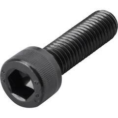 鉄　六角穴付きボルト　CAP  M2x4 100個入り