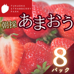 福岡県産あまおういちご 8パック (2280g)