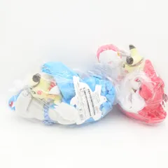 ポケモン ラティアス・ラティオスに乗って ピカチュウ ぬいぐるみ タグ付き 未使用 2点セット ポケモンセンター限定 Pokemonのサムネイル