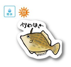 028 カワハギ【防水&UVカット】釣り好きステッカー☆