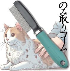 Item thumbnail for item 0c67740d-5806-466c-97f0-48103659ac64