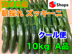 クール便 宮崎県産 ハウス栽培 朝採れ ズッキーニ 10キロ A品 美肌効果 免疫力アップ 便秘解消 血圧対策 ダイエット