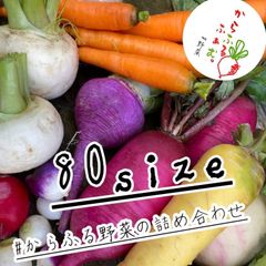 岩手県産 新鮮野菜の詰め合わせ たっぷり80サイズ ⚠︎常温便⚠︎ 野菜BOX