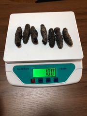 工場直売　関西産　A級品 乾燥なまこL 100g/7匹