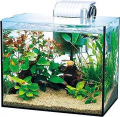 【在庫処分】テトラ (Tetra) ガラス 水槽 オールグラスアクアリウム GA-300F 水槽 アクアリウム 熱帯魚 メダカ 金魚
