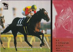 エルコンドルパサー：年度代表馬/最優秀5歳以上牡馬