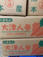 熊本県産！大津人参 にんじん 10kg クール便 送料無料