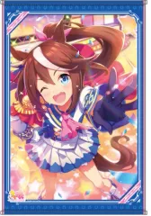 2026年最新】トウカイテイオー タペストリーの人気アイテム - メルカリ