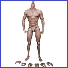 1/6 M33 デッサン用 モデル人形 男性 1/6スケール 超柔軟 - メルカリ