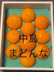 中島まどんな　ご自宅用優品3L（10玉）　3K化粧箱