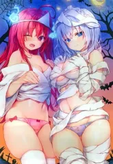 【中古】タペストリー [単品] 彩園寺更紗＆姫路白雪 B2タペストリー 「ライトノベル ライアー・ライアー 第10巻 嘘つき転校生は敗北の女神を騙し抜きます。 メロンブックス限定版」 同梱特典のサムネイル