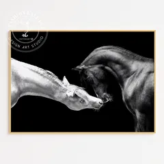 アートポスター モノクロ 馬 白黒 優雅 インテリア 壁掛け おしゃれ モダン リビング 寝室 アニマル プリント デザイン アート