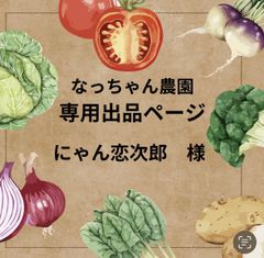 にゃん恋次郎様　専用ページ