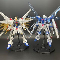 ガンプラ【中古品/ジャンク】 HG 1/144 ライジングフリーダムガンダム/マイティーストライクフリーダムガンダム バンダイ プレバン 606