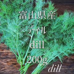 ディル dill 200g ハーブ
