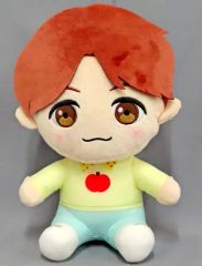 474 BTS TinyTAN SUGA ちょっこりさん ぬいぐるみ - メルカリ