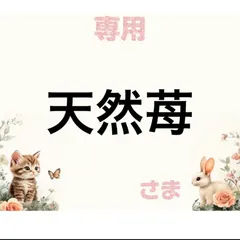 専用