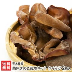 菌床きのこ栽培キット きくらげ 2株入り