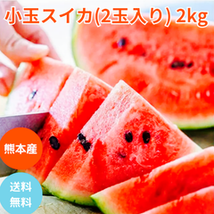 くまもと食彩の力 産地直送 熊本 小玉すいか 2玉 約2Kg Sサイズ以上 特A優品  (001)小玉西瓜  熊本県産 果物 フルーツ ギフト プレゼント用   【バイヤー推奨商品】発送予定日　5月上旬から