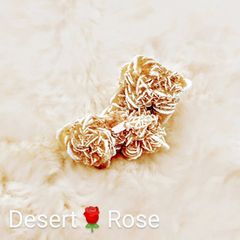 【別商品枠にて再入荷】砂漠のバラ🌹（DesertRose）