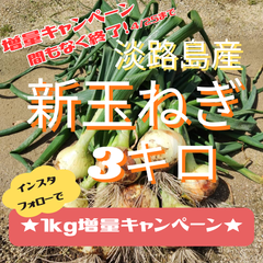 淡路島産　新玉ねぎ3ｋｇ