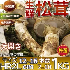 トルコつぼみ松茸\u0026中国産松茸 1kgづつ今見つけました