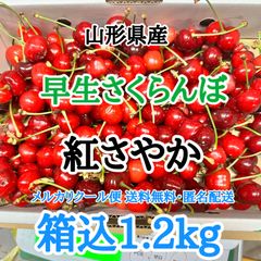 【クール便】山形県産 さくらんぼ 紅さやか 箱込1.2kg サイズ混合  訳あり