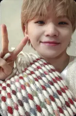 SEVENTEEN WOOZI あいのちから CARAT盤 トレーディングカード