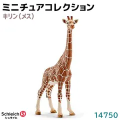 Schleich　カシの木（大）　2005年製　高さ約32㎝ 2025年最新】Schleich 木の人気アイテム - メルカリ