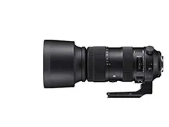 おまけ付き中古シグマ60-600mmF4.5-6.3DGDNOS Sports 中古】(シグマ) SIGMA 60-600/4.5-6.3 DG DN OS SPORTS ソニーE