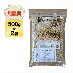 もち麦キラリ 1kg（500g×2袋）（農薬・化学肥料 不使用）