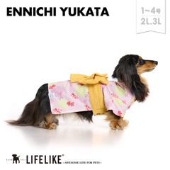 【縁日浴衣1-4号2L-3L／ピンク】ドッグウェア 浴衣 小型犬 中型犬 犬 服 春 夏 春夏 夏祭り 金魚 金魚柄 可愛い かわいい おしゃれ 犬の服 ペット服 犬服 ペット グッズ 洋服 ペット用品 LIFELIKE［返品不可・サイズ交換可］